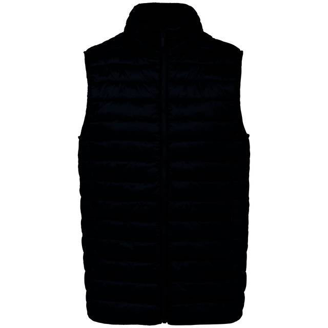 Native Spirit Ecologische Lichte Bodywarmer voor heren NS6005