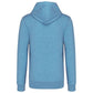 Ecologische Heren Sweater met Capuchon