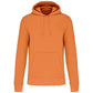 Ecologische Heren Sweater met Capuchon