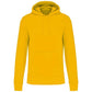 Ecologische Heren Sweater met Capuchon