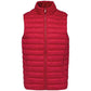 Native Spirit Ecologische Lichte Bodywarmer voor heren NS6005